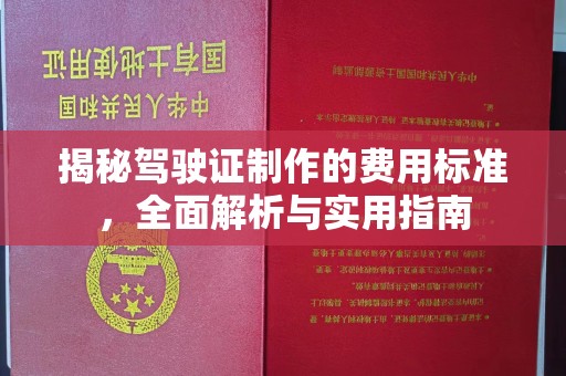 武鸣揭秘驾驶证制作的费用标准，全面解析与实用指南